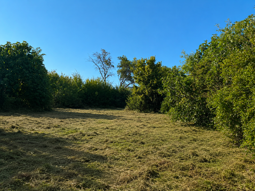 Vente Terrain Terrain Sonnay centre ville Sonnay