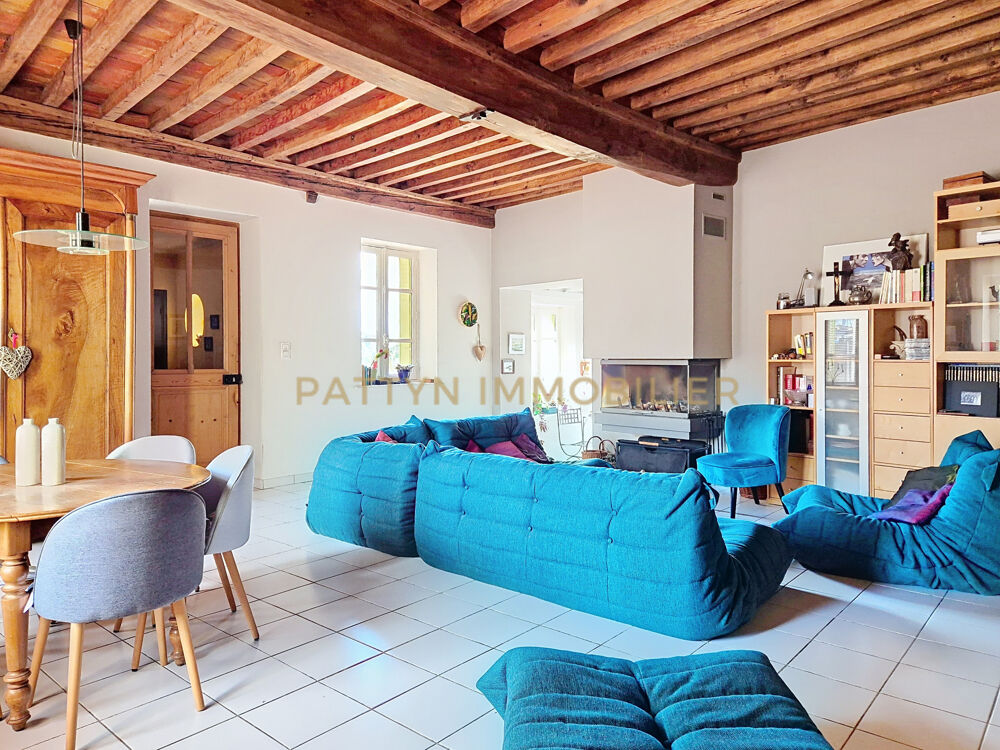 � vendre  Propri�t�/ch�teau Tramoyes (01390)