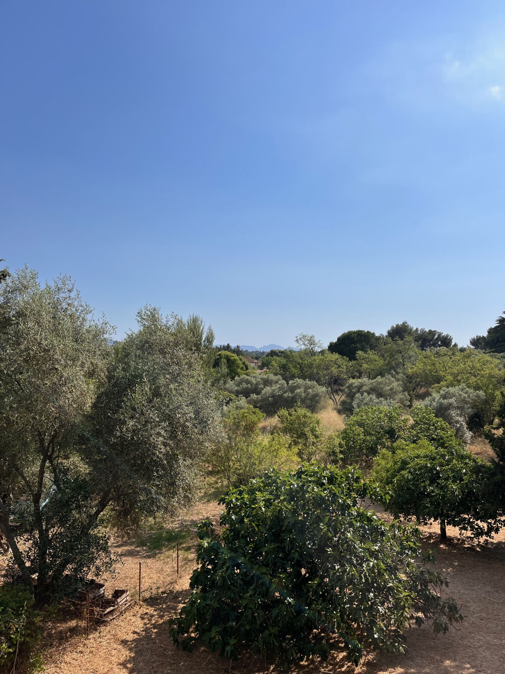 Vente Maison ALLAUCH - AUBAGNENS - TERRAIN CONSTRUCTIBLE 420 M2 + MAISON DE CARACTERE A RENOVER Allauch