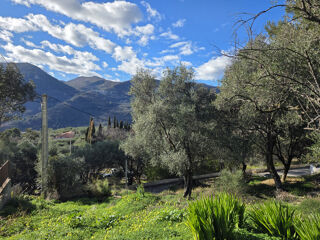 Terrain � vendre 1000 m�