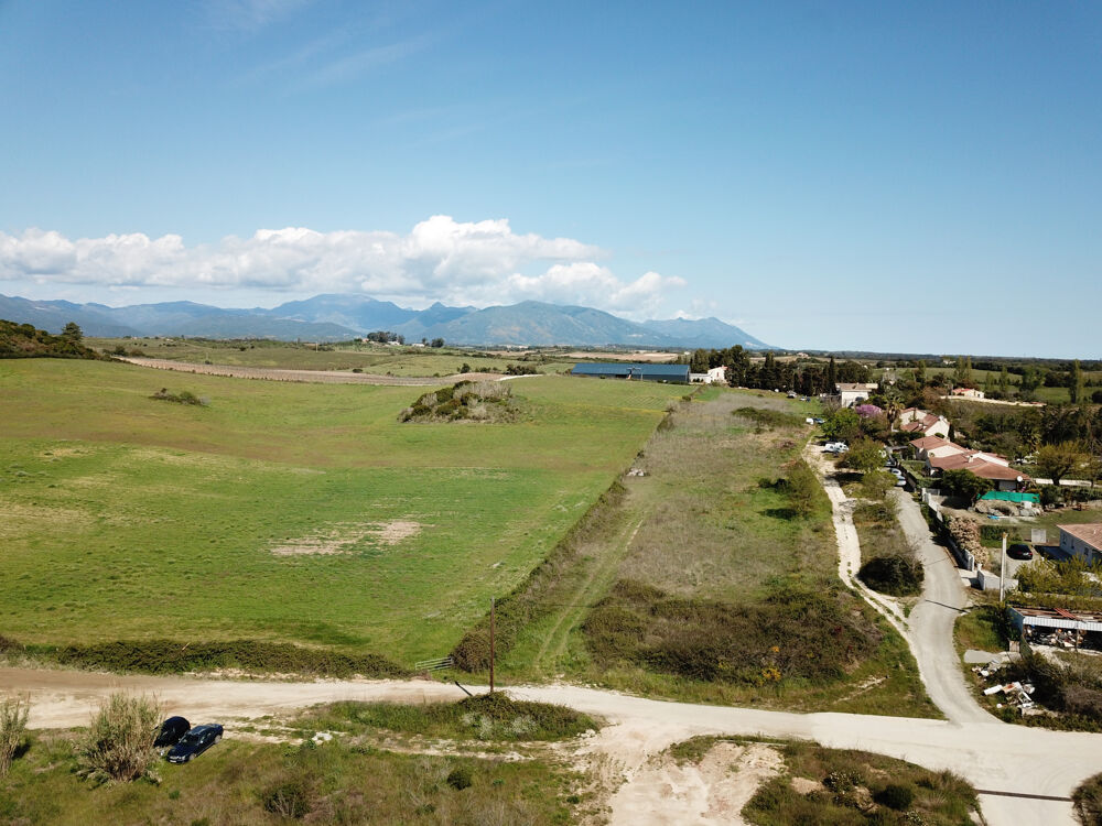 Vente Terrain Terrains Constructible et Viabilisés - Aléria Aleria