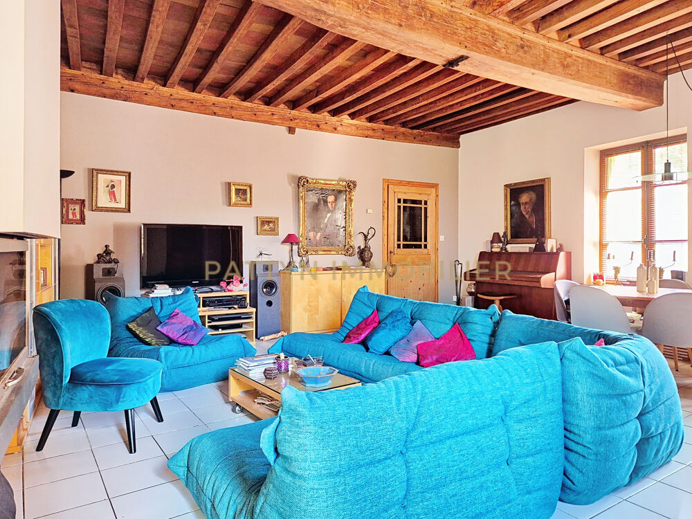 � vendre  Propri�t�/ch�teau Tramoyes (01390)