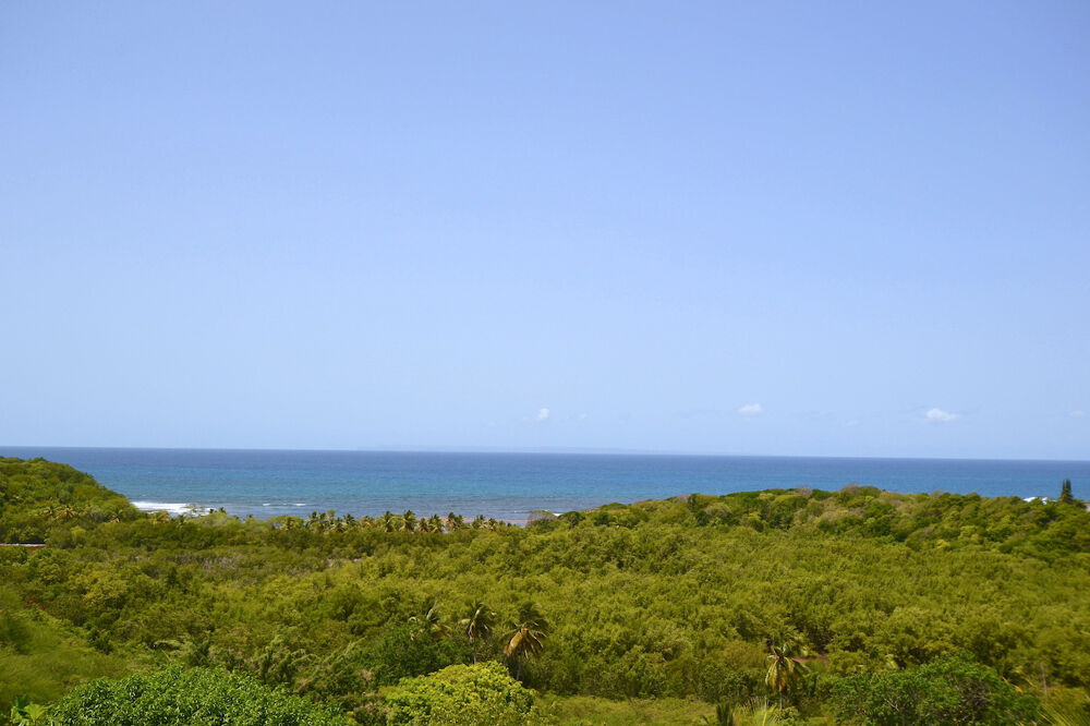 à vendre  Propriété/château Sainte-Anne (97180)