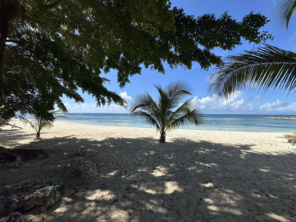 Vente Appartement Exclusivité ZEOPIE Immobilier : Studio meublé Anse des Rochers à SAINT-FRANCOIS. St francois