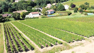  Terrain � vendre 56300 m�