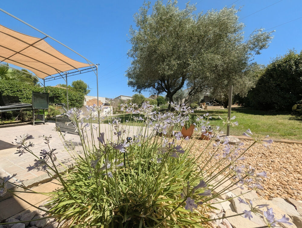 Vente Maison Villetelle   Élégante villa de plain-pied rénovée avec piscine et magnifique terrain arboré de plus de 1 000 m Villetelle