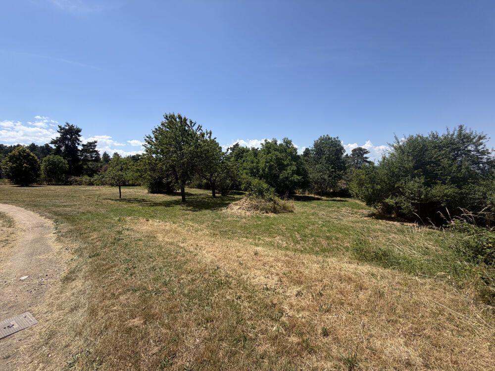 Vente Terrain Terrain situé a Saint-Just-Saint-Rambert constructible de 1 270m2 St just st rambert