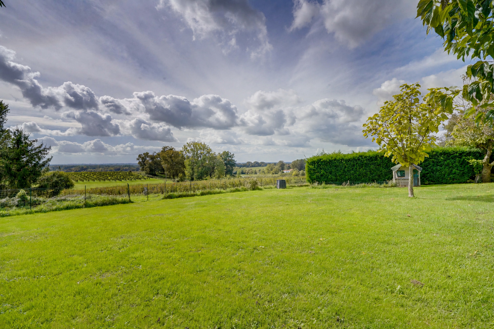 Vente Terrain Terrain constructible de 2224m2 St savin