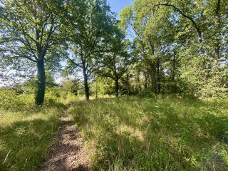  Terrain à vendre 6 pièces 5000 m²