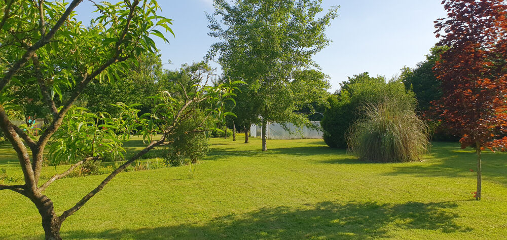 Vente Maison MAISON FAMILIALE AVEC GRAND TERRAIN Coulonges cohan
