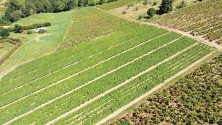  Terrain � vendre 7256 m�