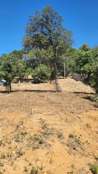  Terrain à vendre 875 m²
