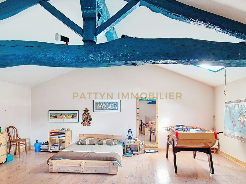 � vendre  Propri�t�/ch�teau Tramoyes (01390)