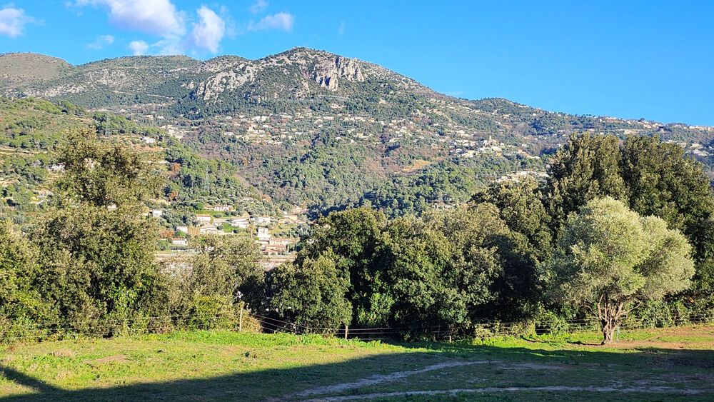 Vente Terrain OPPORTUNITE CARROS LES PLANS : TERRAIN A BATIR VIABILISE DE 482m2, OFFRANT BELLE VUE DEGAGEE Carros