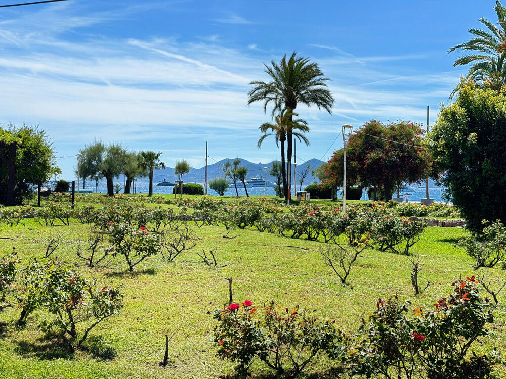 Vente Appartement Cannes Basse Californie - 2 pièces 48 m2 près Croisette Cannes