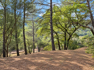  Terrain à vendre 1012 m²