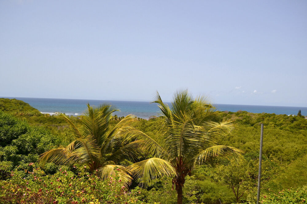 à vendre  Propriété/château Sainte-Anne (97180)