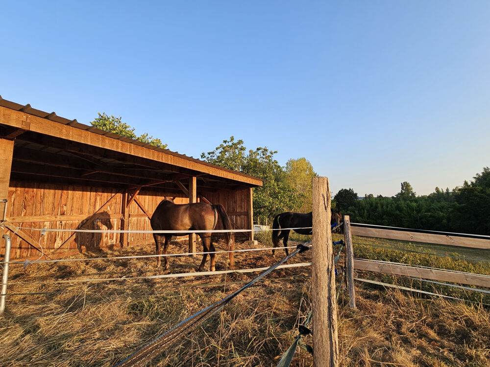 Propriété équestre de 5 hectares, entièrement clos, maison de plain pied 210m2 annexe 130m2