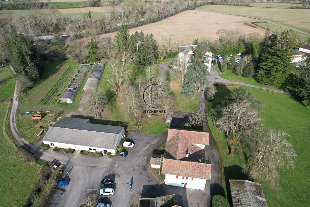  vendre  Proprit/chteau Espiute (64390)