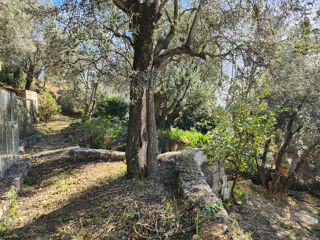  Terrain à vendre 350 m²
