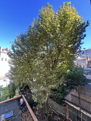  Appartement à vendre 1 pièce 24 m²