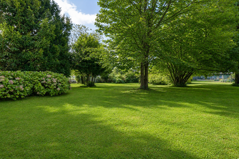 Vente Terrain Terrain constructible de 525m2 Libourne