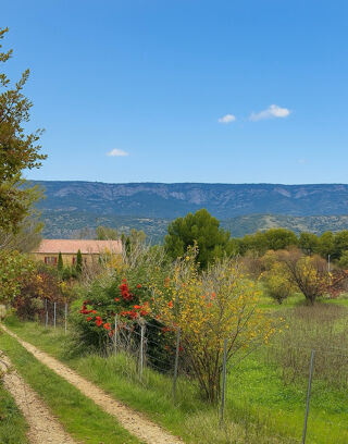  Maison � vendre 7 pi�ces 250 m�