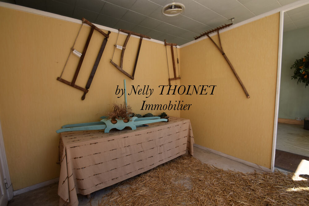 Dépt.15. CONDAT, MAISON / IMMEUBLE à usage mixte, 170 m2, cour et cave