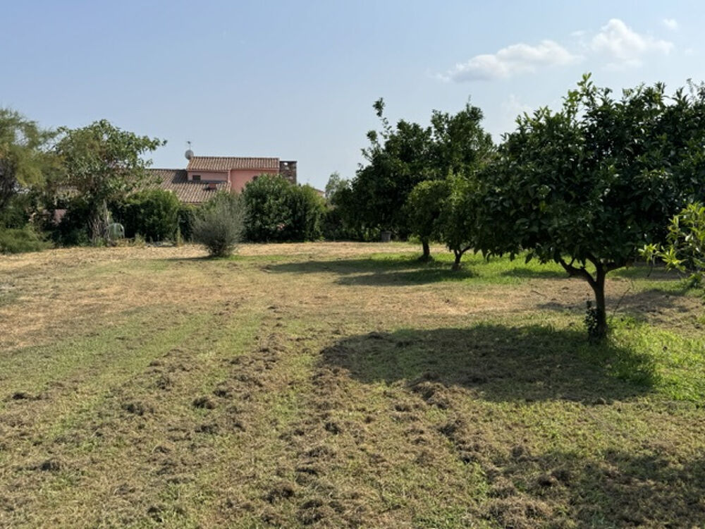 Vente Terrain PRUNELLI-DI-FIUMORBO   Terrain à bâtir de 606 m2   89 600 € Prunelli di fiumorbo