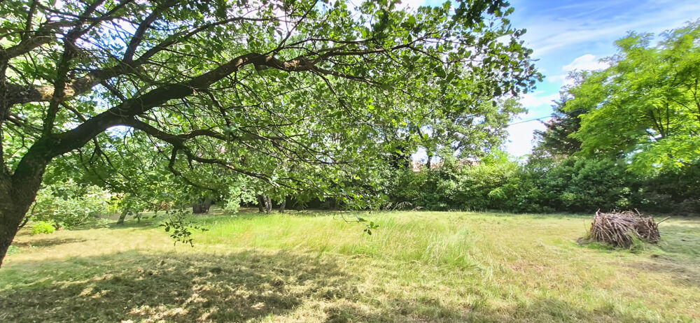 Vente Terrain À vendre, magnifique terrain à bâtir de 1 011 m2 proche d'Uzès Uzes