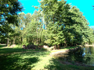  Terrain � vendre 13512 m�