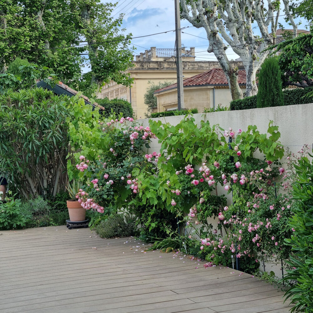  vendre  Maison Salon-de-Provence (13300)