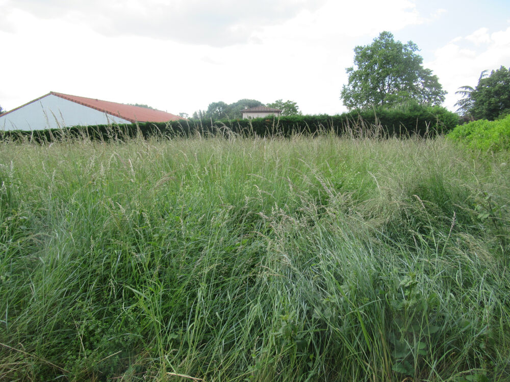 Vente Terrain TERRAIN A BATIR A 10 MINUTES DU CENTRE DE MONTAUBAN Villemade