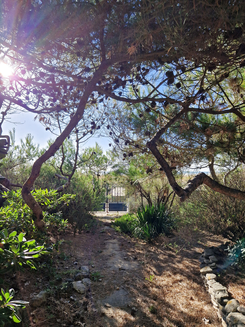 � vendre  Maison Ch�telaillon-Plage (17340)