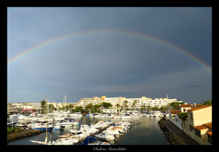  Appartement  vendre 1 pice 24 m