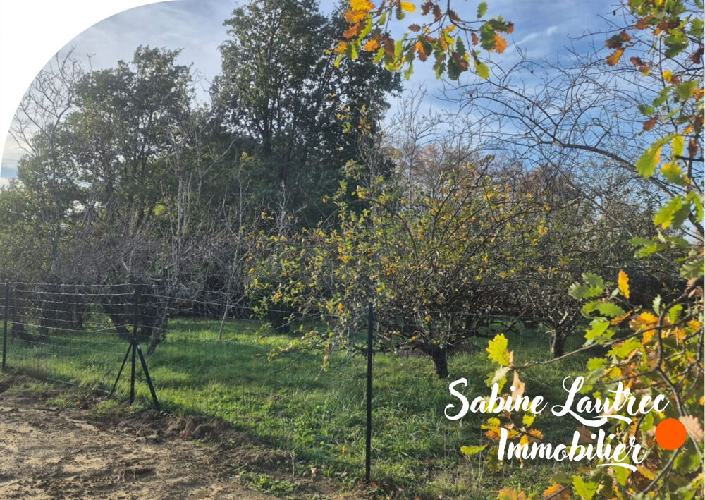 Vente Terrain Terrain constructible arboré   Axe Castres et Albi Venes