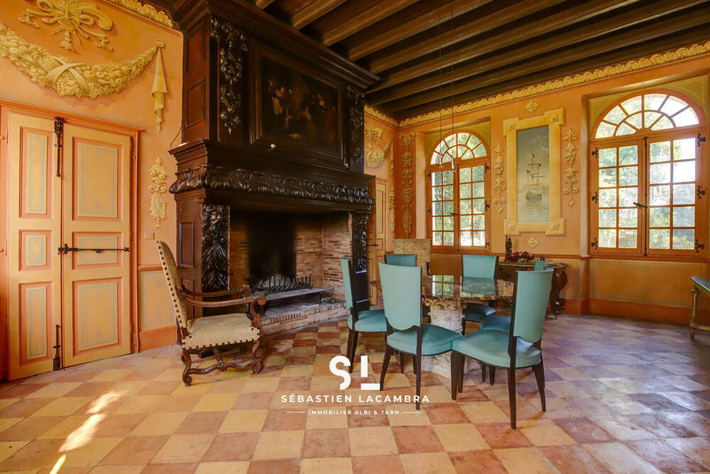  vendre  Proprit/chteau Rivires (81600)