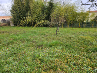 Vente Terrain Terrain constructible non viabilisé Ste gemme la plaine