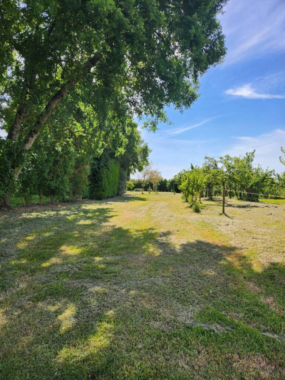 Vente Terrain Terrain constructible de 1 460 m2 avec vue sur la campagne   La Brousse La brousse