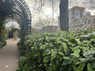  Appartement � vendre 1 pi�ce 30 m�