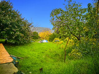  Terrain � vendre 983 m�