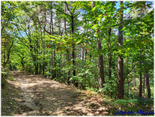  Propri�t�/ch�teau � vendre 9 pi�ces 240 m�