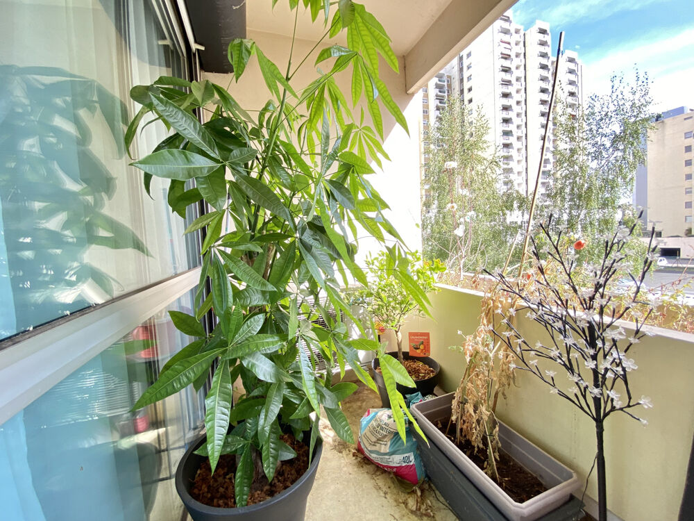 Vente Appartement Appartement T4 avec balcon + garage double - Bergson St etienne