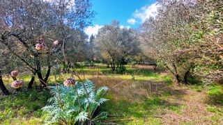  Terrain à vendre 1040 m²