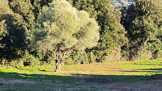  Terrain � vendre 795 m�