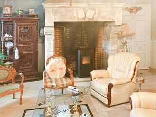  Propri�t�/ch�teau � vendre 11 pi�ces 390 m�