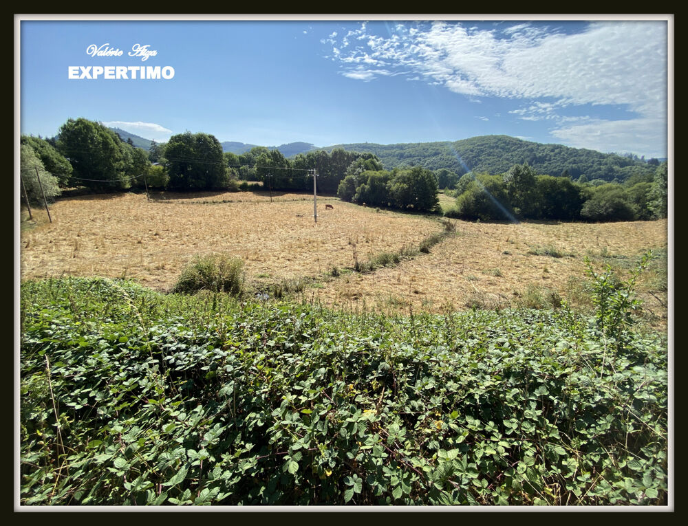 La Salvetat sur Agout ,Maison avec jardin et prairie