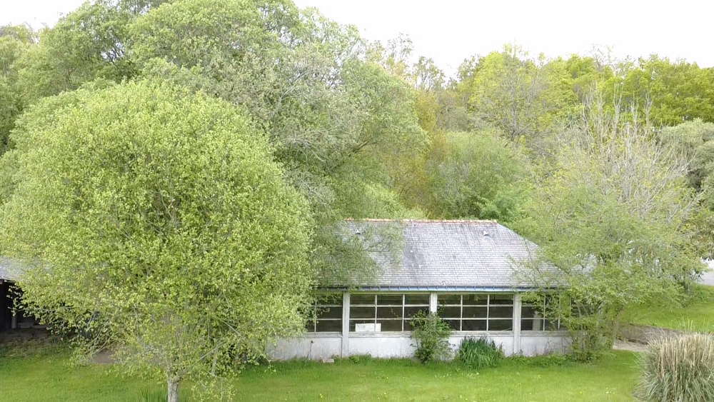 Vente Maison Maison avec dépendances et 10 000 m2 de terrain agricole. St ave