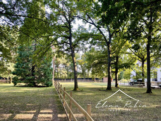  Proprit/chteau  vendre 12 pices 378 m