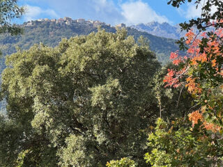  Terrain � vendre 1250 m�